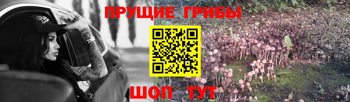 Видное  Галлюциногенные грибы мухоморы  Вход с VPN 