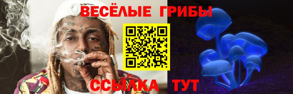 Псилоцибиновые грибы мицелий Видное